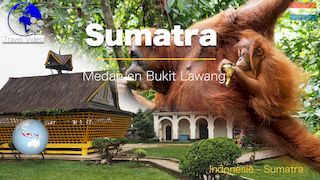Indonesië - Sumatra • Medan en het orang-oetanreservaat